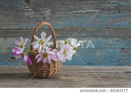Summer greeting card; pink and white cosmos flowers in wicker basket on old paint wooden background; space for text 88163377