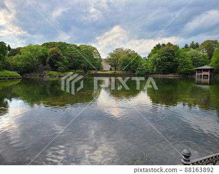 A mirror-like pond 88163892