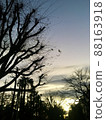 冬天黎明天空和樹木和建築物的剪影 88163918