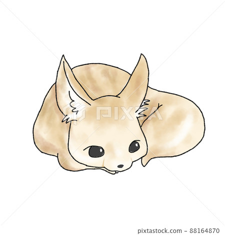 睡覺fennec 88164870