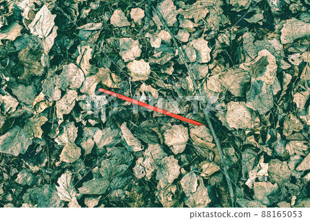 Littering of a red straw in leaves 88165053