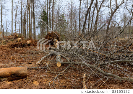 Deforestation of forest pile of remnants of tree roots with preparing land for housing Deforestation of forest pile of remnants of tree roots with preparing land for housing 88165122