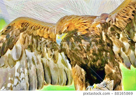 鷹和鷹的插圖風格形象 鷹和鷹的插圖風格形象 88165869