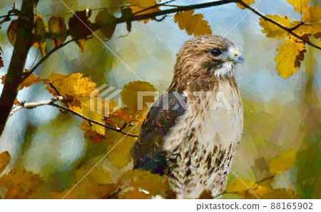 Illustration style image of hawk and eagle 88165902