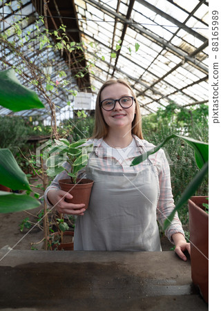 Young woman stands near table with flowers in the greenhouse and holds pot with green flower. Gardening, seedlings, sale Young woman stands near table with flowers in the greenhouse and holds pot with green flower. Gardening, seedlings, sale 88165989