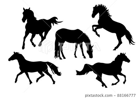 A set of black and white silhouettes of horses running, jumping, bucking and rearing. Vector illustrations. EPS 88166777