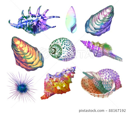 Watercolor set of marine rainbow color. bright colorful set: shells, starfish and sea urchin Watercolor set of marine rainbow color. bright colorful set: shells, starfish and sea urchin 88167192