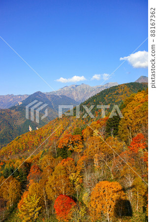 Shinhotaka in Gifu, Hida, and autumn leaves 88167362