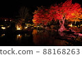Autumn leaves light up of mountain garden 88168263