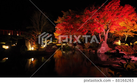 Autumn leaves light up of mountain garden 88168263