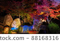 Autumn leaves light up of mountain garden 88168316