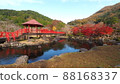 Autumn leaves of the Rock Garden 88168337
