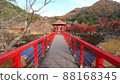 Autumn leaves of the Rock Garden 88168345
