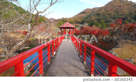 Autumn leaves of the Rock Garden 88168345