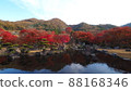 Autumn leaves of the Rock Garden 88168346