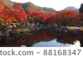 Autumn leaves of the Rock Garden 88168347