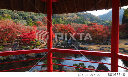 Autumn leaves of the Rock Garden 88168348