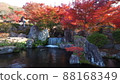 Autumn leaves of the Rock Garden 88168349