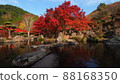 Autumn leaves of the Rock Garden 88168350
