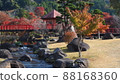 Autumn leaves of the Rock Garden 88168360