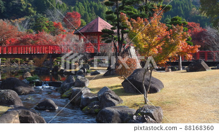 Autumn leaves of the Rock Garden 88168360