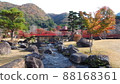 Autumn leaves of the Rock Garden 88168361