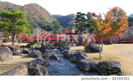 Autumn leaves of the Rock Garden 88168361