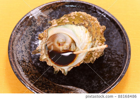 Turban shell grilled shellfish grilled food Turban shell grilled shellfish grilled food 88168486