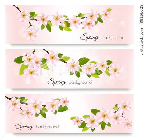 Three spring nature banners with blossoming sakura brunch with pink flowers. Vector illustration. 88169628
