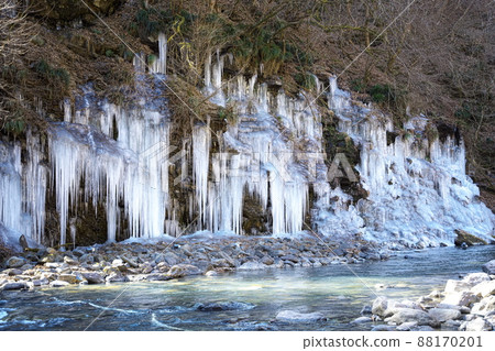 Beautiful Chichibu's thirty mallet icicles 88170201