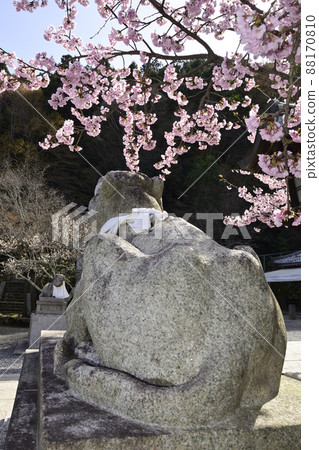 國藏法輪寺櫻花和駒虎 國藏法輪寺櫻花和駒虎 88170810