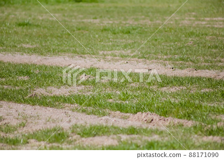 Upland before cultivation Upland before cultivation 88171090