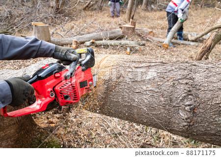 Logging work on the back mountain with a chainsaw Logging work on the back mountain with a chainsaw 88171175