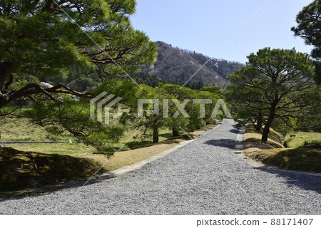 Shogakuin皇宮Namiki 88171407