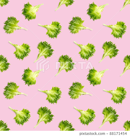 seamless pattern from lettuce green leaves salad. frillice salad isolated on pink. iceberg salad leaf flat lay seamless pattern from lettuce green leaves salad. frillice salad isolated on pink. iceberg salad leaf flat lay 88171454