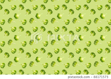 pop art background from lettuce green leaves salad. frillice salad isolated on green. iceberg salad leaf flat lay pop art background from lettuce green leaves salad. frillice salad isolated on green. iceberg salad leaf flat lay 88171573