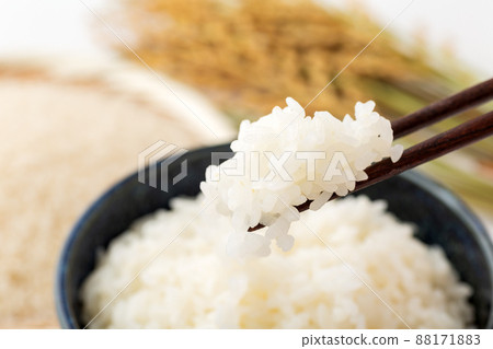 rice  88171883