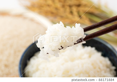 rice  88171884