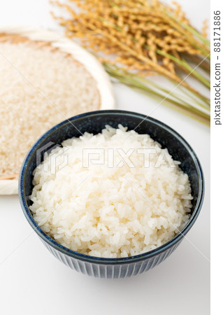 飯 飯 88171886