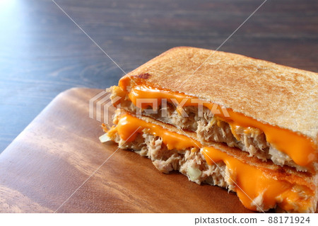 Tuna Melt Tuna Hot Sandwich 88171924