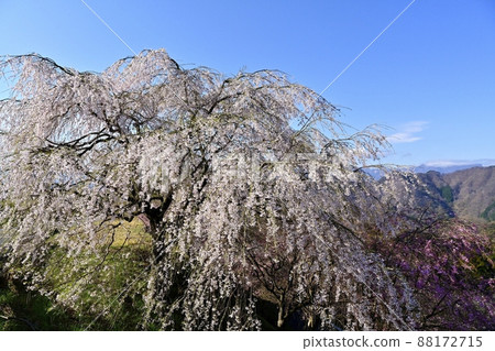 Arafuneyama in Sakura no Sato and the mountains of Nishijoshu, a prefectural forest park at the foot of Mt. Myogi Arafuneyama in Sakura no Sato and the mountains of Nishijoshu, a prefectural forest park at the foot of Mt. Myogi 88172715
