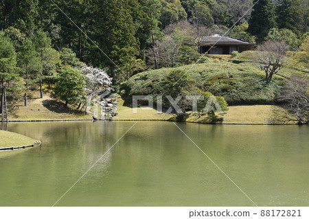 Shogakuin Imperial Palace Rebelside Neighborhood Shogakuin Imperial Palace Rebelside Neighborhood 88172821