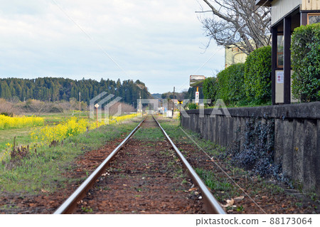 Spring Isumi Railway where rape blossoms bloom Spring Isumi Railway where rape blossoms bloom 88173064