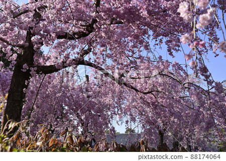 Clear stream green Clear stream green 88174064