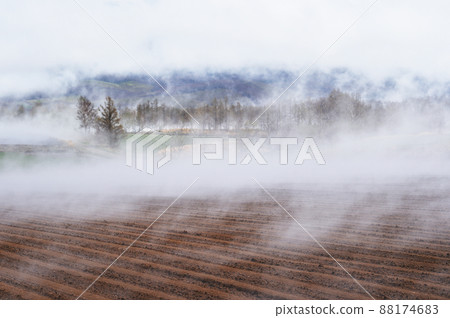 Ground fog in the Shiretoko region (Hokkaido) 88174683