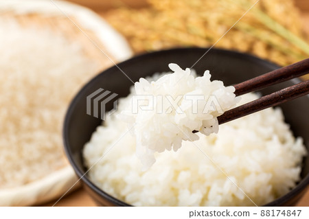 rice  88174847