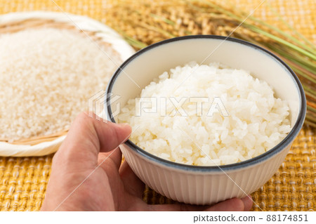 飯 88174851