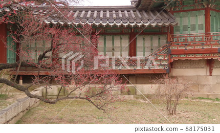 Changdeokgung palace 88175031