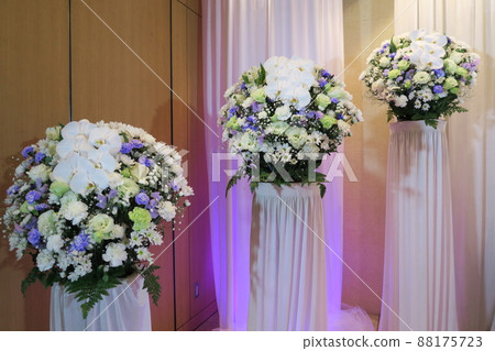 鮮花包含蝴蝶蘭 鮮花包含蝴蝶蘭 88175723