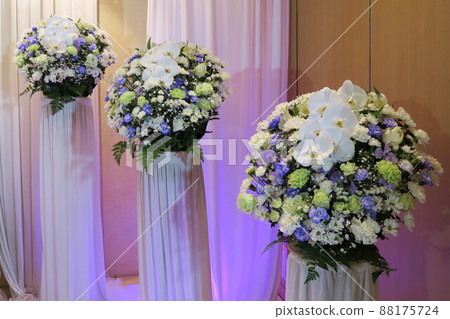 鮮花包含蝴蝶蘭 88175724